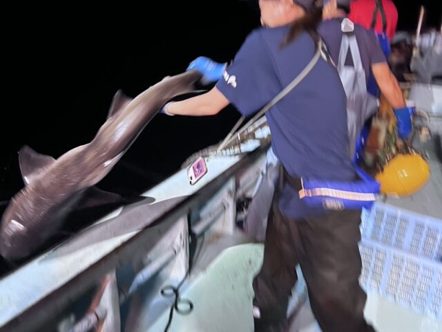 農林水産省からの研修生を迎えております。