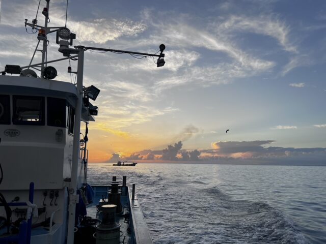 夏が終わる気配がしてきました。