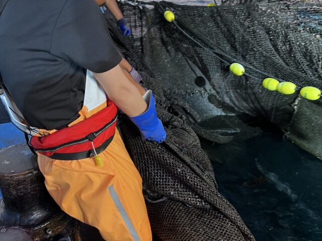 研修生は本日が最終日でした。